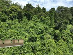 Blk 31 Telok Blangah Rise (Bukit Merah), HDB 3 Rooms #121668142